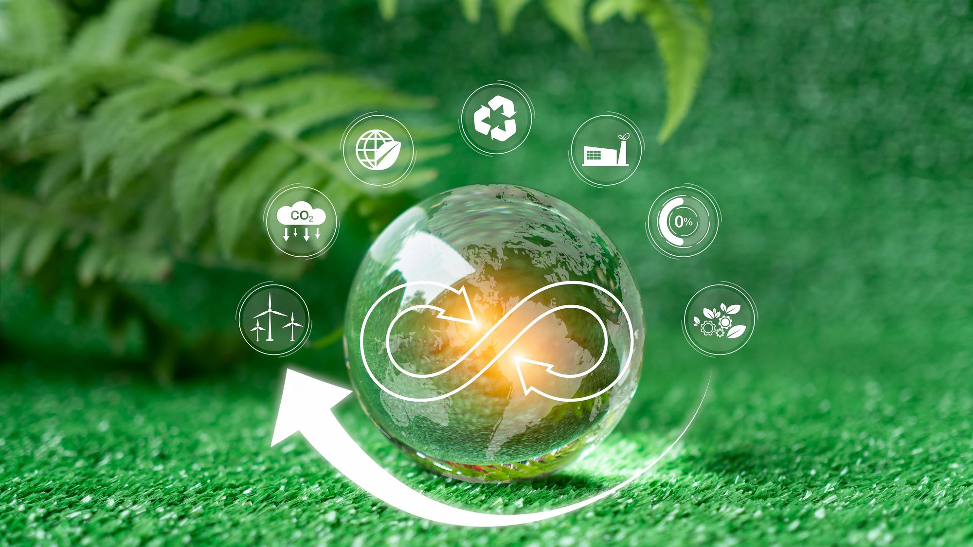 World Environment Day