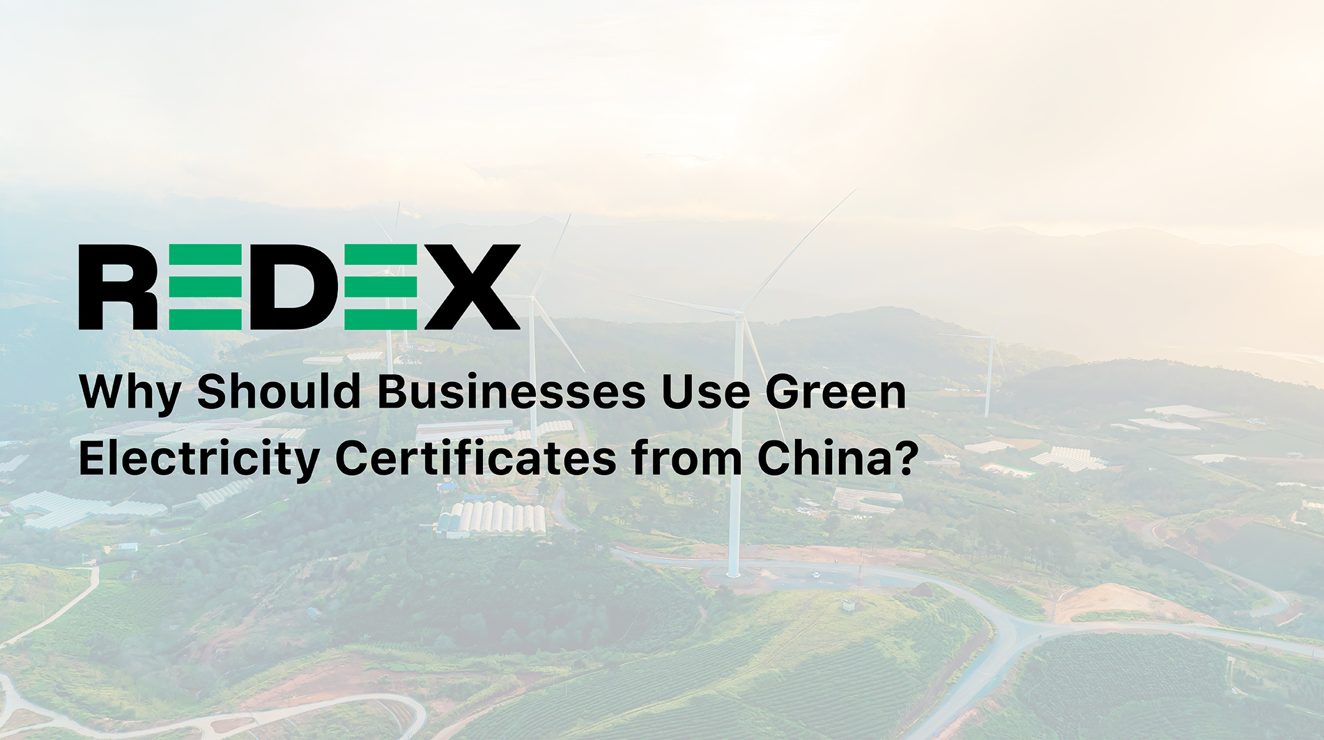 Title page of blog post explaining about Why Should Businesses Use Green Electricity Certificates from China